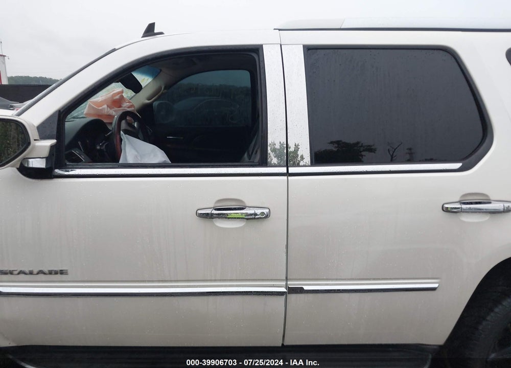 2010 CADILLAC ESCALADE LUXURY VIN: 1GYUKBEF8AR161157