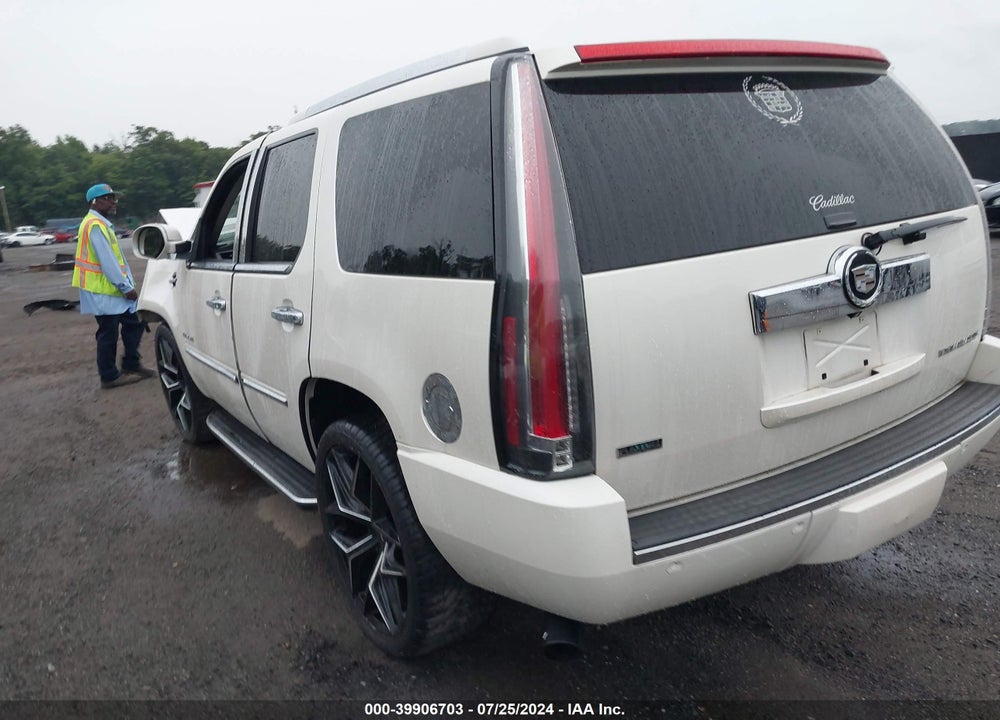 2010 CADILLAC ESCALADE LUXURY VIN: 1GYUKBEF8AR161157