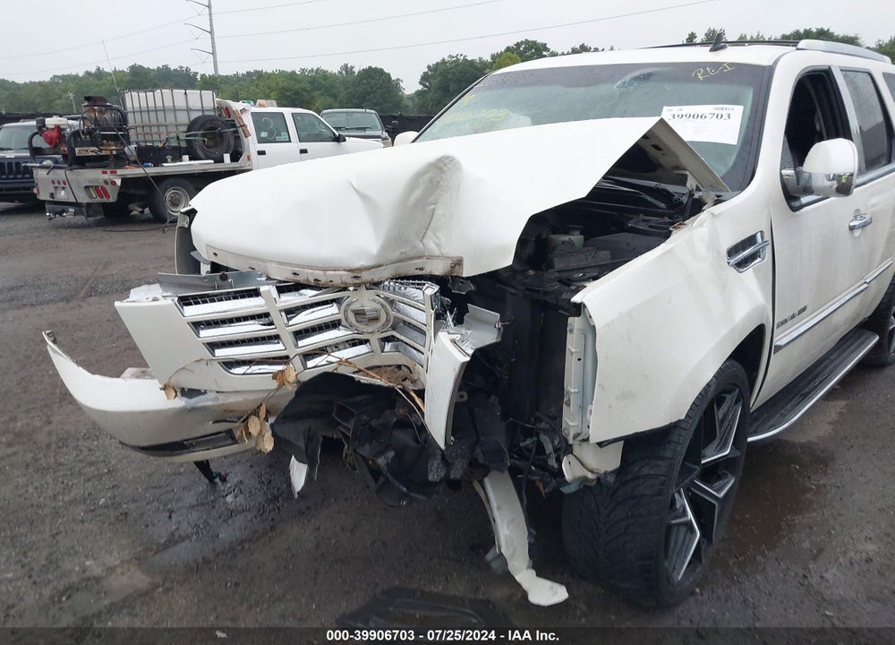 2010 CADILLAC ESCALADE LUXURY VIN: 1GYUKBEF8AR161157
