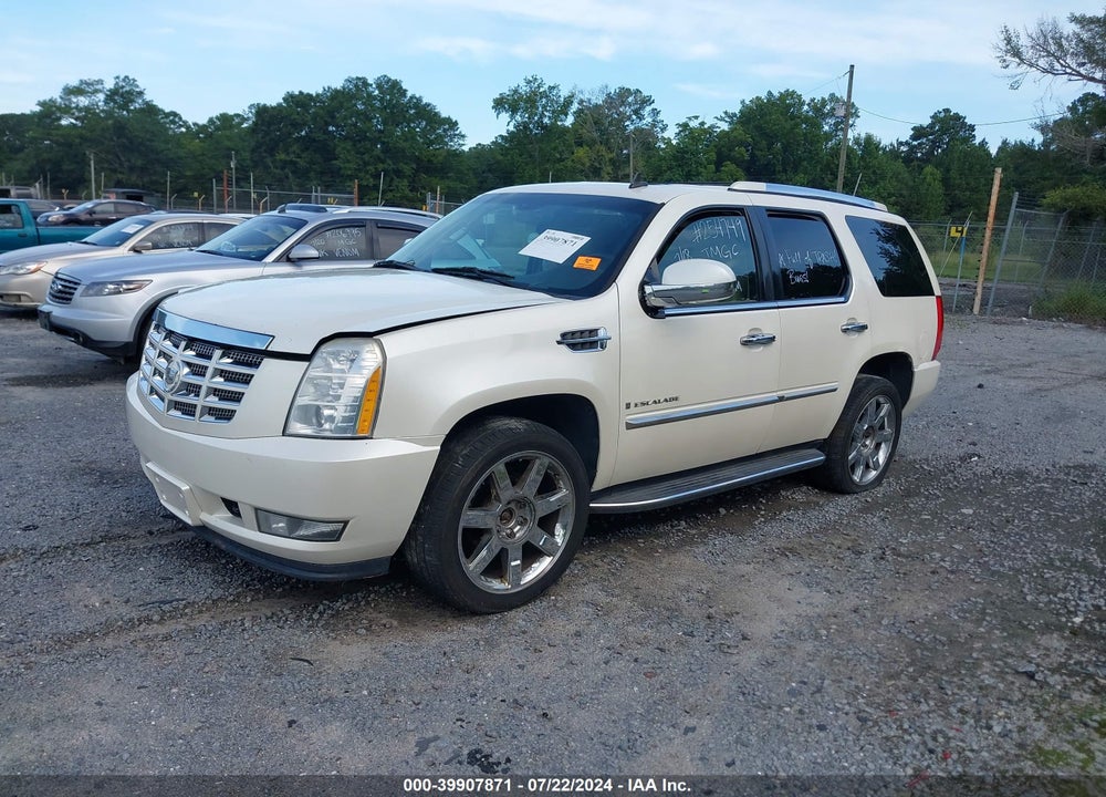 2009 CADILLAC ESCALADE STANDARD VIN: 1GYFK232X9R254749