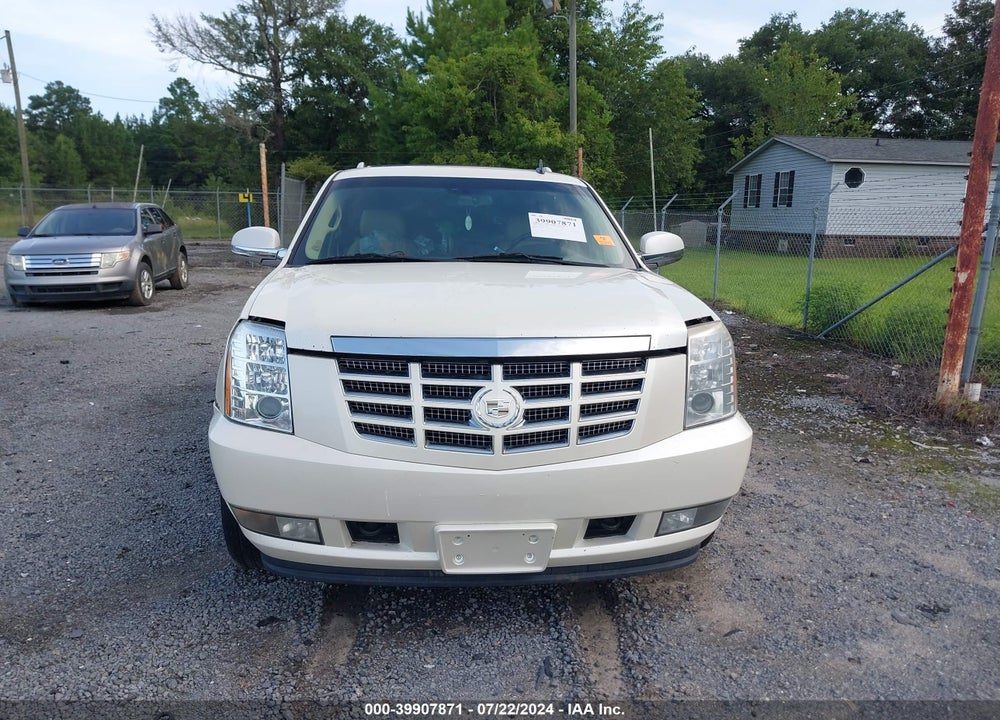 2009 CADILLAC ESCALADE STANDARD VIN: 1GYFK232X9R254749
