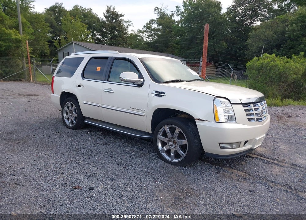 2009 CADILLAC ESCALADE STANDARD VIN: 1GYFK232X9R254749