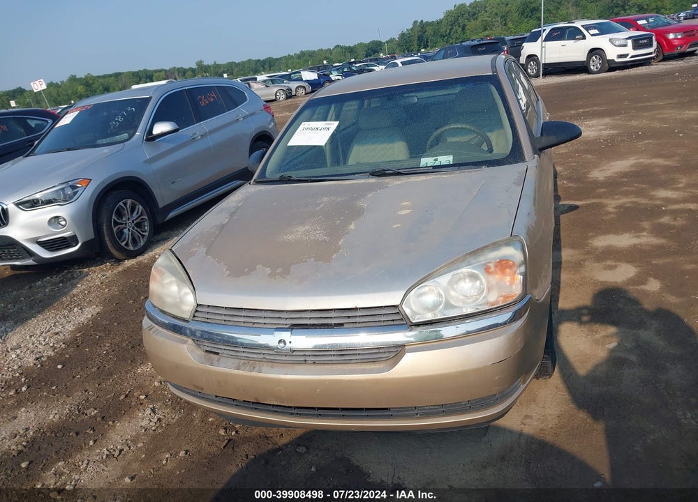 2004 CHEVROLET MALIBU MAXX LS VIN: 1G1ZT62864F235146