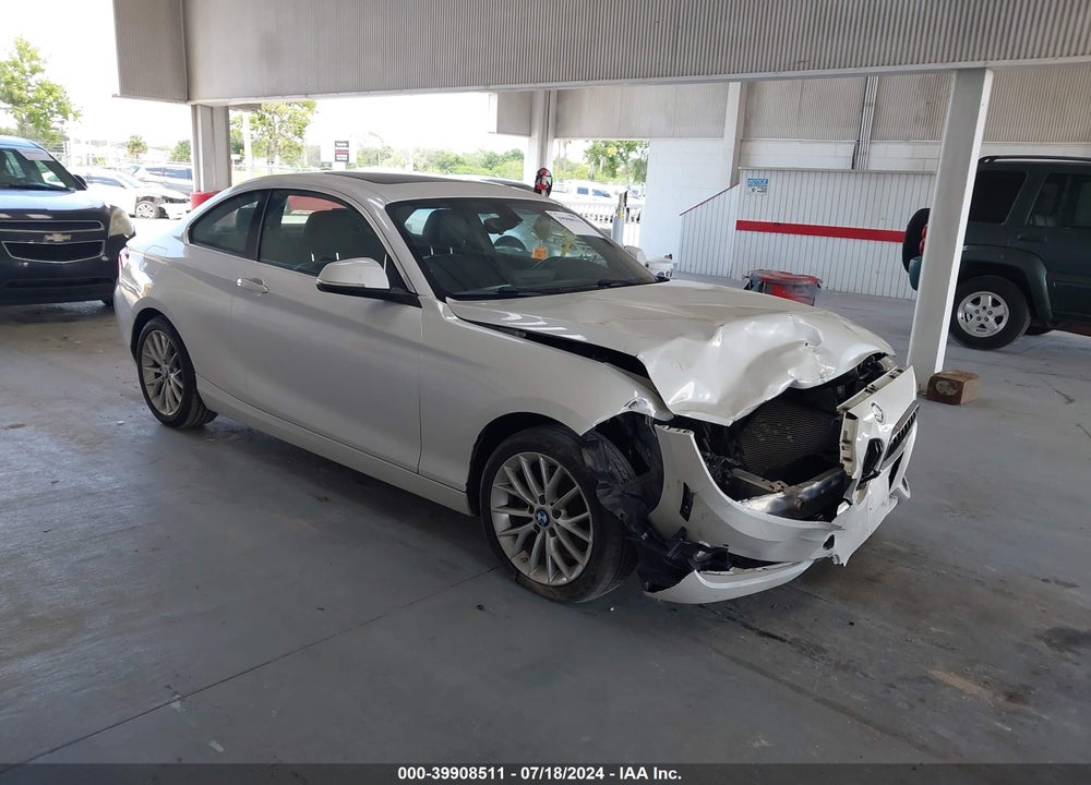 2016 BMW 228I VIN: WBA1F9C53GV544369