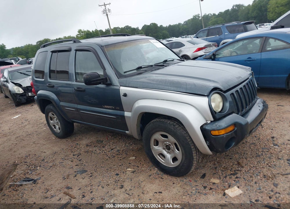 2002 JEEP LIBERTY LIMITED EDITION VIN: 1J8GL58K42W217245
