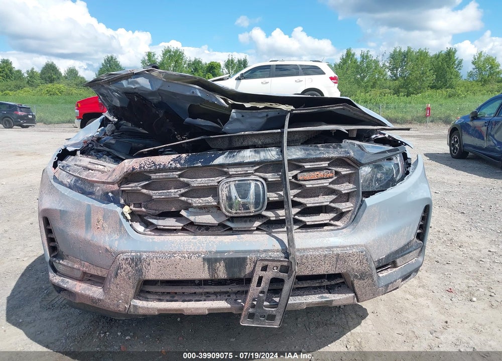 2023 HONDA PASSPORT AWD TRAILSPORT VIN: 5FNYF8H62PB014289