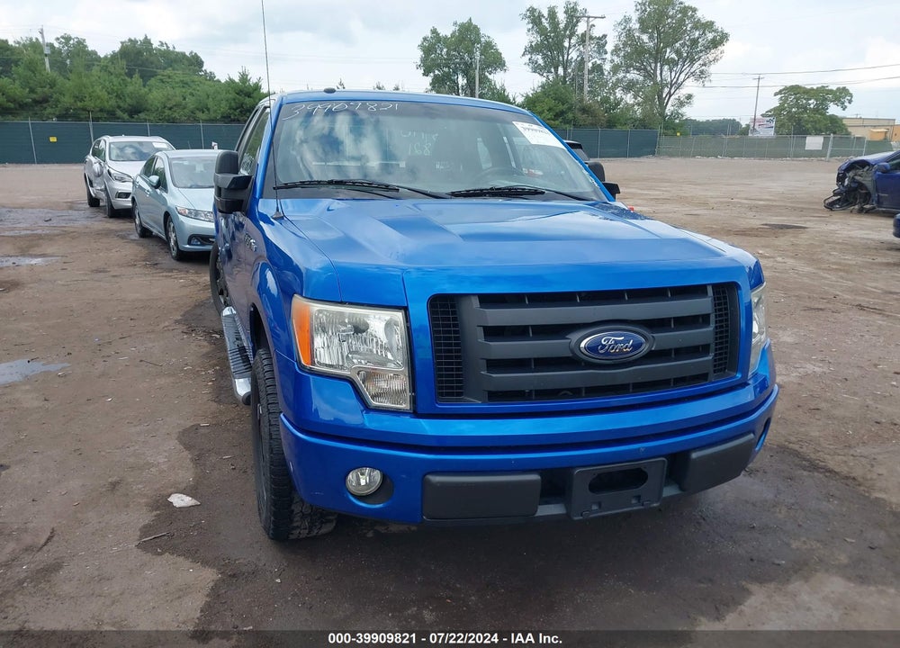 2009 FORD F-150 STX/XL VIN: 1FTRX12W99FB46868