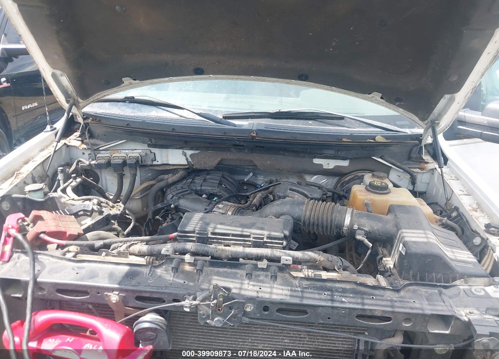 2013 FORD F-150 XL VIN: 1FTMF1CM1DKD70503