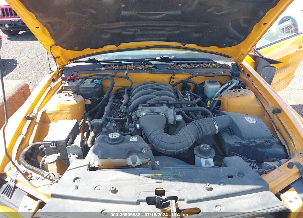 2008 FORD MUSTANG GT DELUXE/GT PREMIUM VIN: 1ZVHT82H185128075