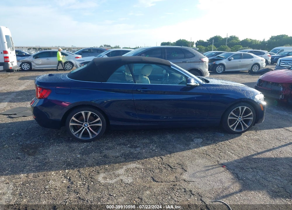 2017 BMW 230I VIN: WBA2K9C52HV646781
