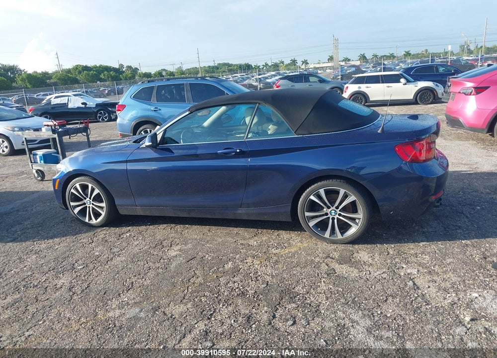 2017 BMW 230I VIN: WBA2K9C52HV646781