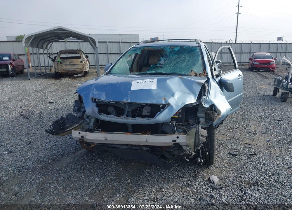 2007 LEXUS RX 350 VIN: 2T2GK31U77C004487