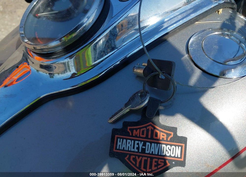 2007 HARLEY-DAVIDSON FXDL VIN: 1HD1GN41X7K325655
