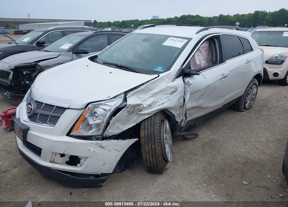 2010 CADILLAC SRX STANDARD VIN: 3GYFNGEY3AS581789