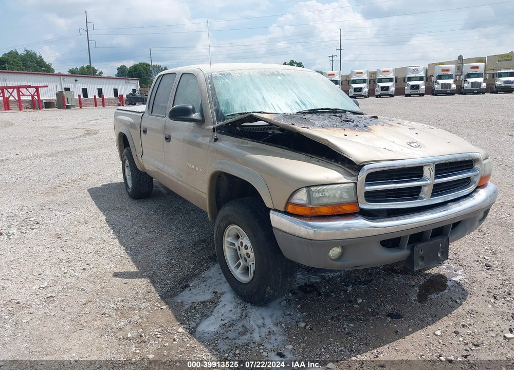 2002 DODGE DAKOTA SLT VIN: 1B7HG48Z32S670089