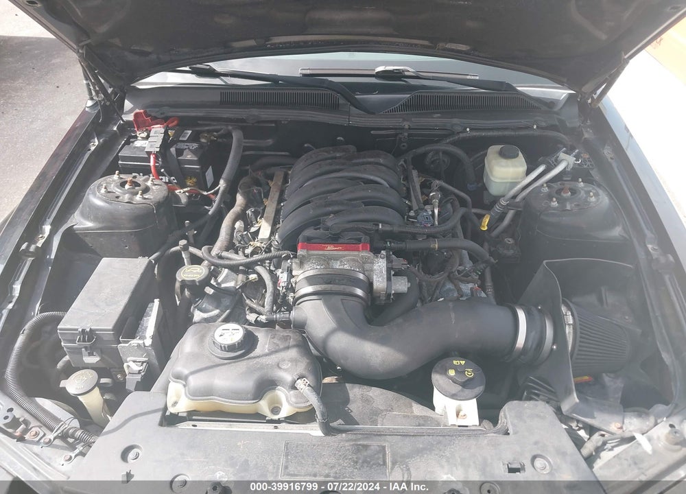 2008 FORD MUSTANG GT DELUXE/GT PREMIUM VIN: 1ZVHT82H785162697
