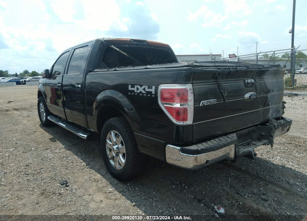 2014 FORD F-150 XLT VIN: 1FTFW1ETXEFD07388