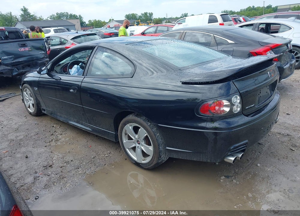 2006 PONTIAC GTO VIN: 6G2VX12U96L826528