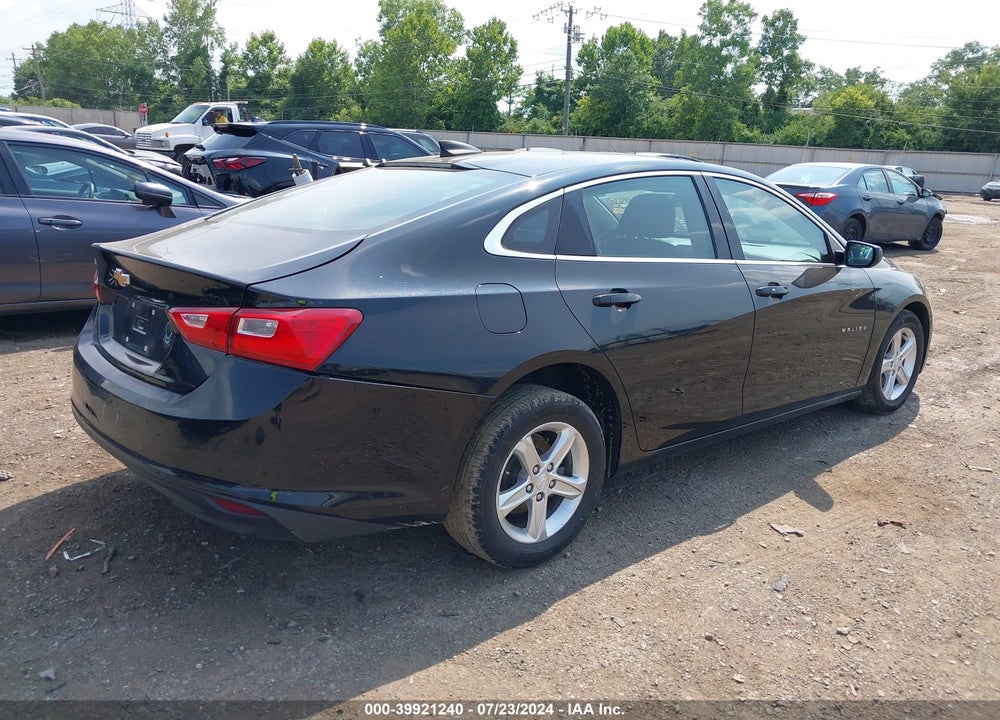 2019 CHEVROLET MALIBU 1LS VIN: 1G1ZB5ST2KF206211