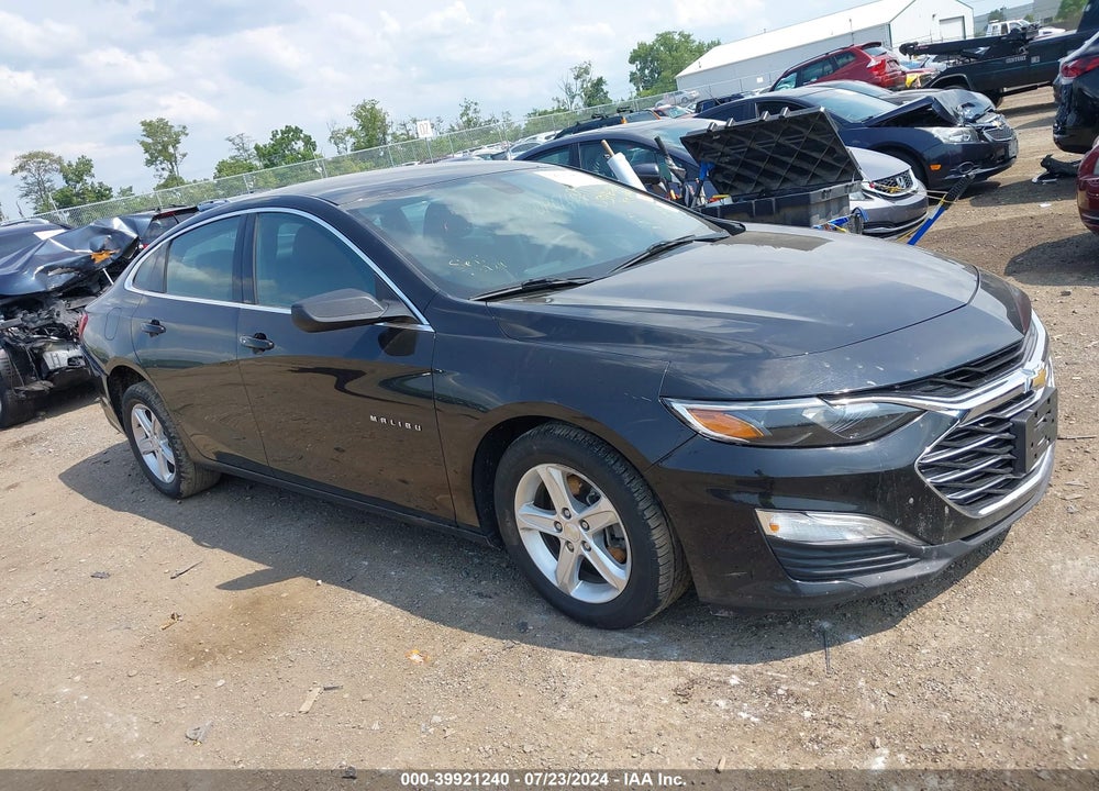 2019 CHEVROLET MALIBU 1LS VIN: 1G1ZB5ST2KF206211