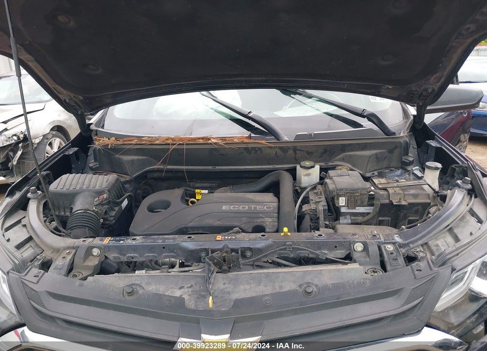 2019 CHEVROLET EQUINOX LS VIN: 3GNAXHEV5KL221612