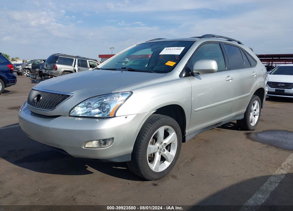 2006 LEXUS RX 330 VIN: JTJGA31U760060085