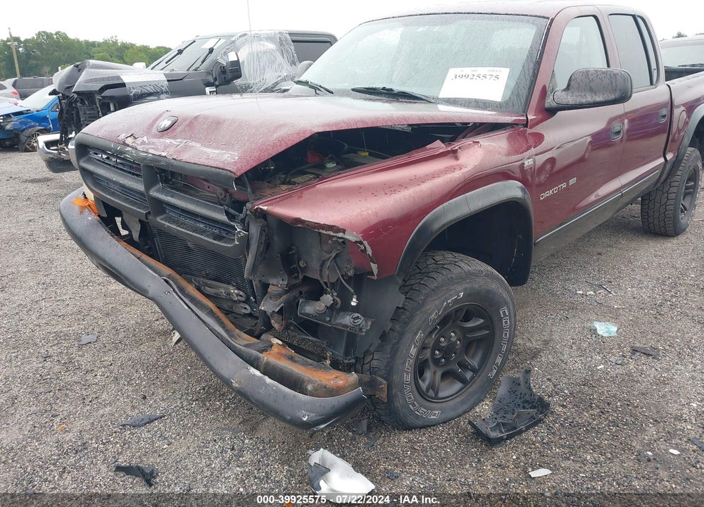 2002 DODGE DAKOTA SLT VIN: 1B7HG48N42S670986