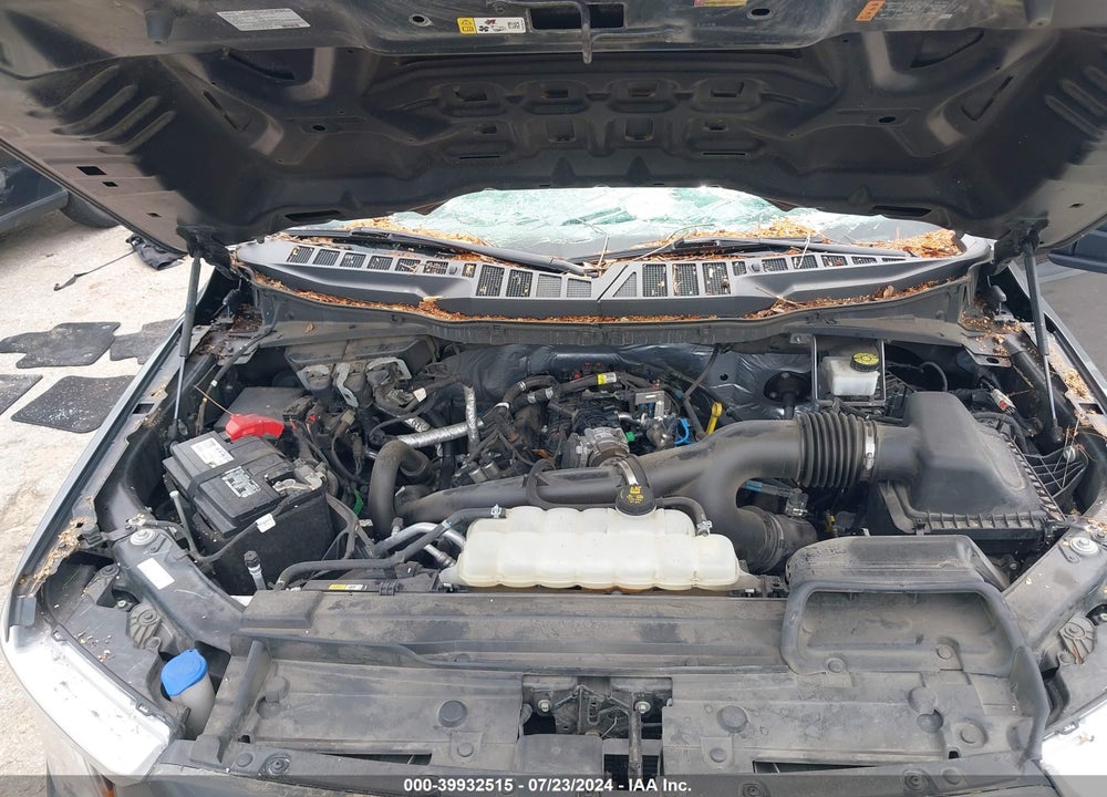 2021 FORD F-150 XL VIN: 1FTEW1EP2MFB61663