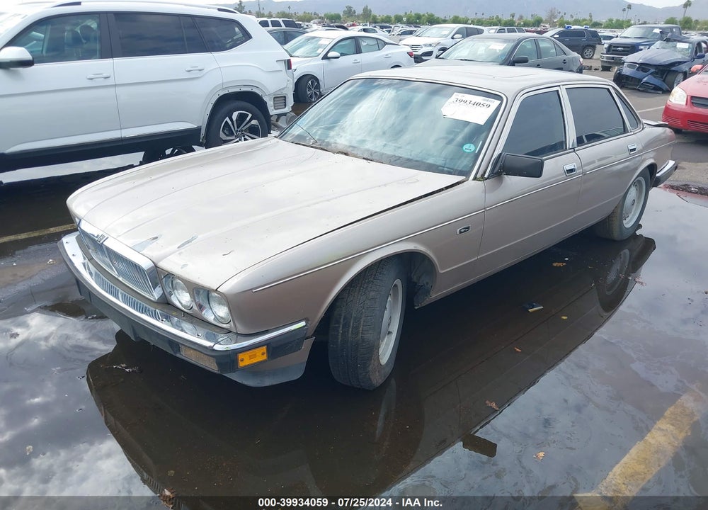 1988 JAGUAR VANDENPLAS VIN: SAJKV1649JC521407