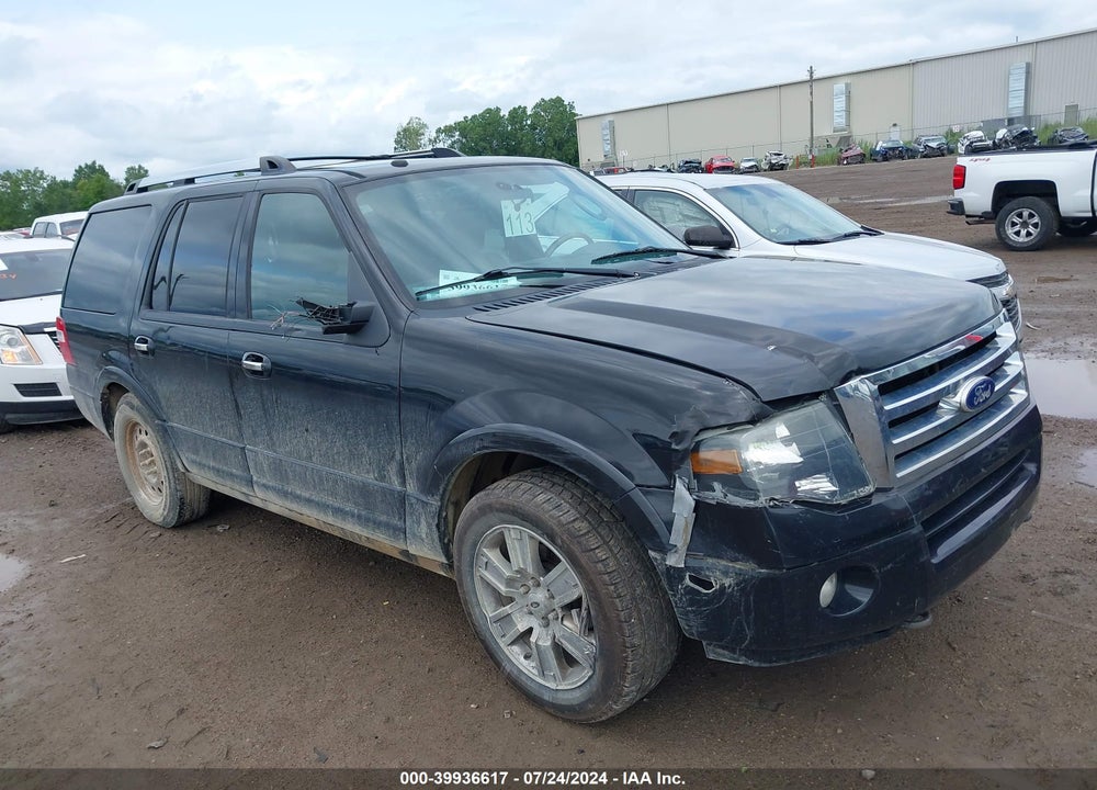 2010 FORD EXPEDITION LIMITED VIN: 1FMJU2A59AEA58445