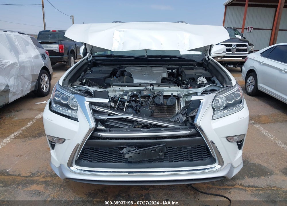 2019 LEXUS 460 LUXURY VIN: JTJJM7FX1K5216934