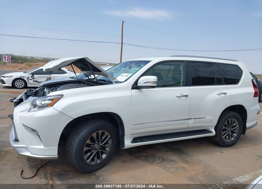 2019 LEXUS 460 LUXURY VIN: JTJJM7FX1K5216934