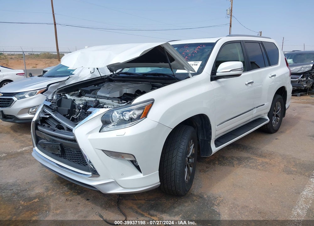 2019 LEXUS 460 LUXURY VIN: JTJJM7FX1K5216934