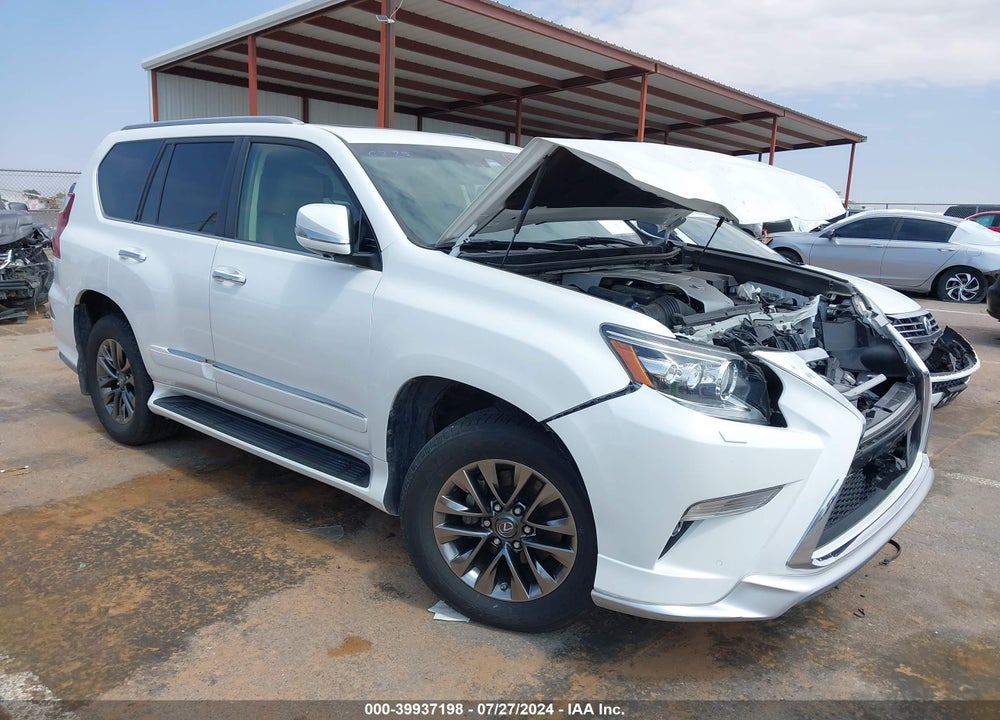 2019 LEXUS 460 LUXURY VIN: JTJJM7FX1K5216934