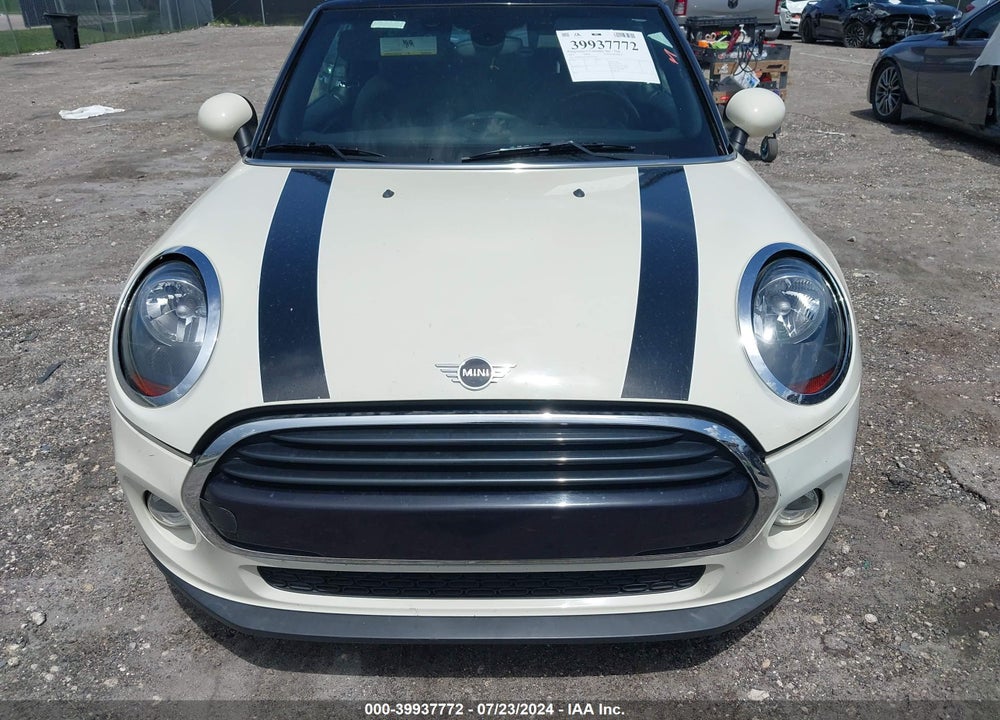 2019 MINI CONVERTIBLE COOPER VIN: WMWWG5C5XK3F79784