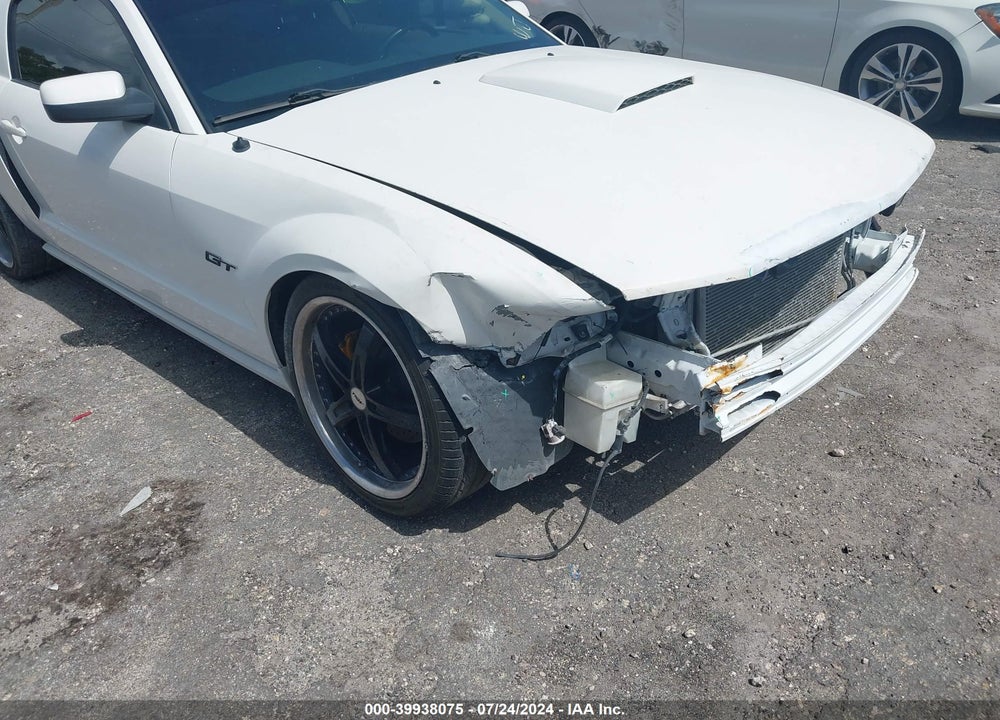2007 FORD MUSTANG GT DELUXE/GT PREMIUM VIN: 1ZVFT82H675263610