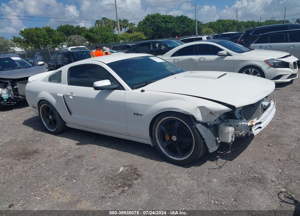 2007 FORD MUSTANG GT DELUXE/GT PREMIUM VIN: 1ZVFT82H675263610
