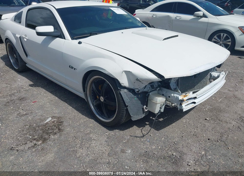 2007 FORD MUSTANG GT DELUXE/GT PREMIUM VIN: 1ZVFT82H675263610