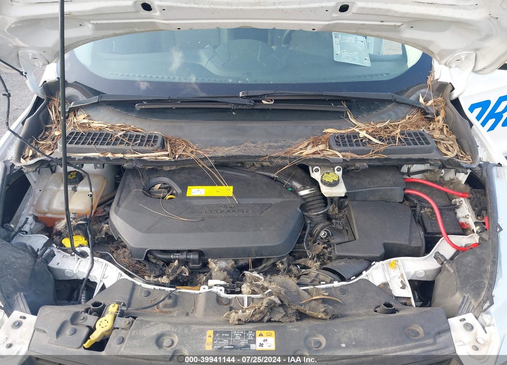 2016 FORD ESCAPE SE VIN: 1FMCU0GXXGUB63371