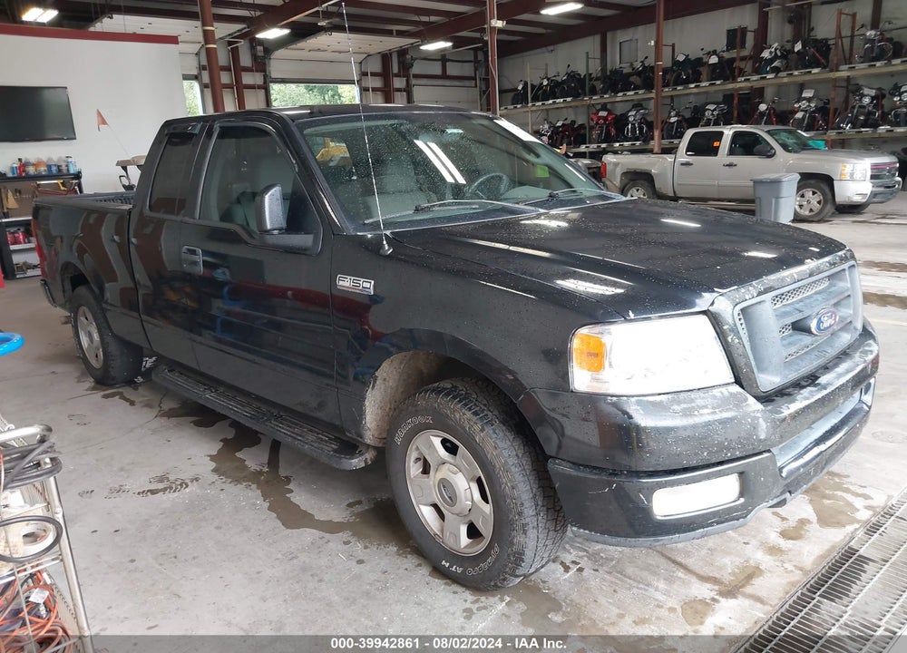 2004 FORD F-150 STX/XL/XLT VIN: 1FTRX12W64NA09336