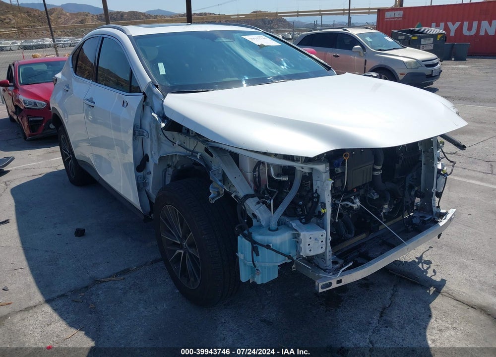 2024 LEXUS NX 350 VIN: 2T2AGCEZ2RC035744
