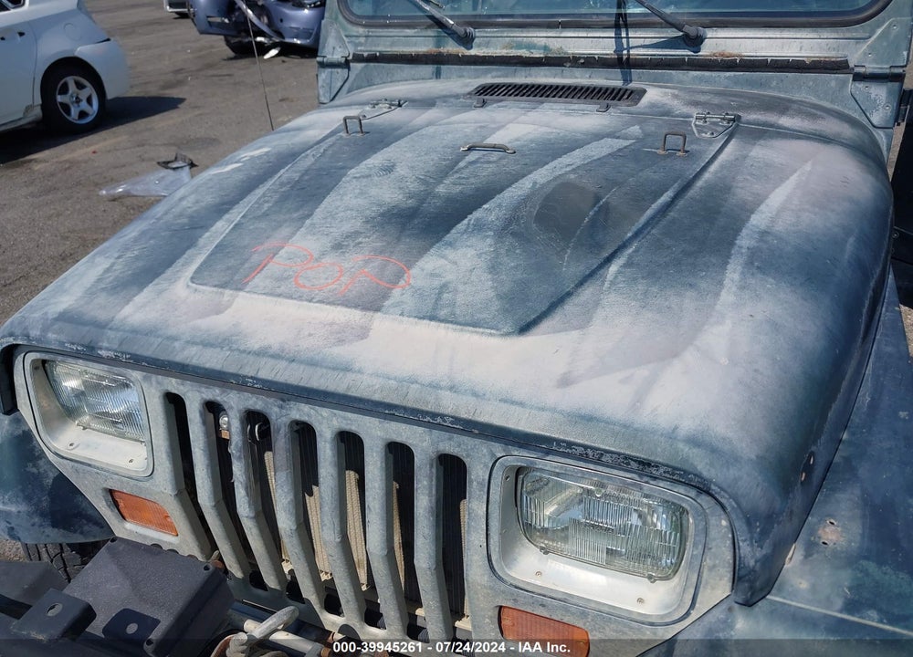1993 JEEP WRANGLER / YJ VIN: 1J4FY29S9PP256913