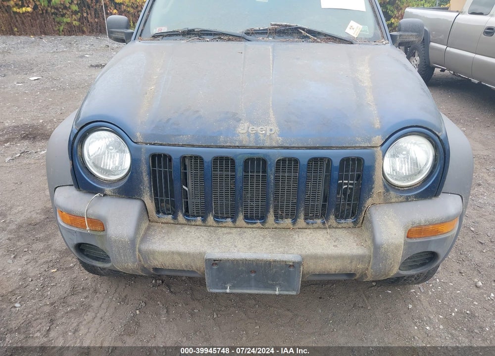 2002 JEEP LIBERTY SPORT VIN: 1J4GL48K92W199336