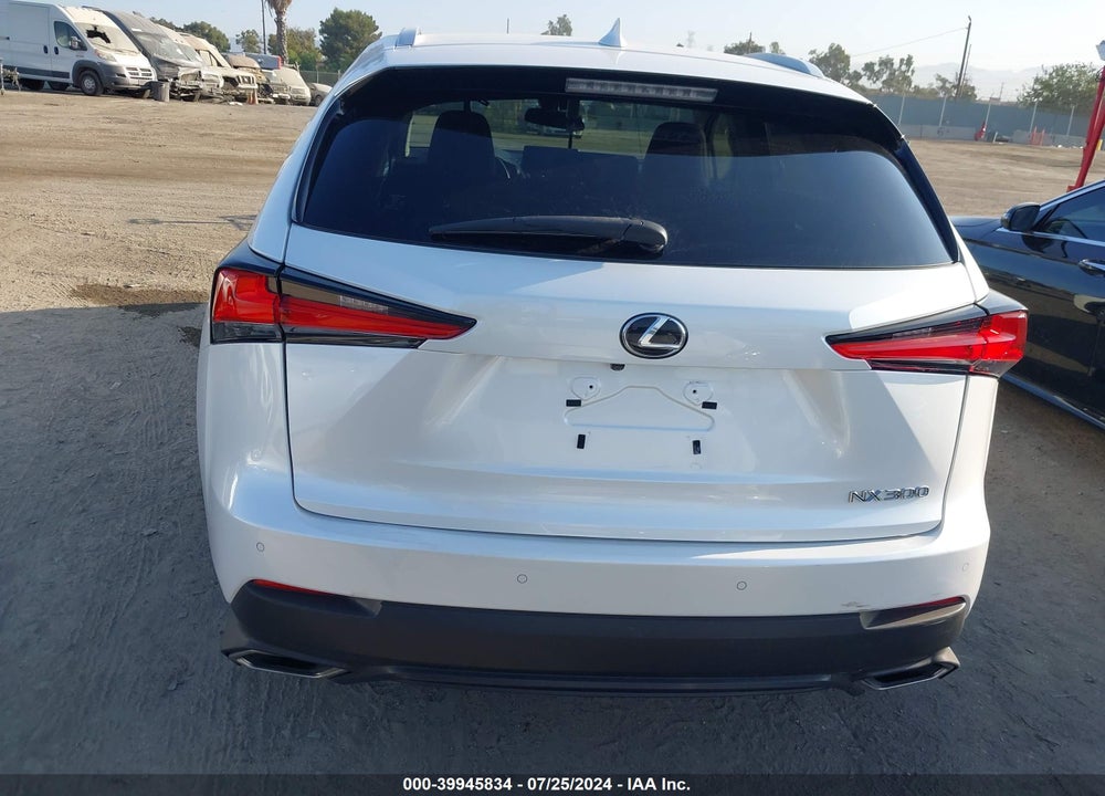 2019 LEXUS NX 300 F-SPORT VIN: JTJYARBZ8K2154976