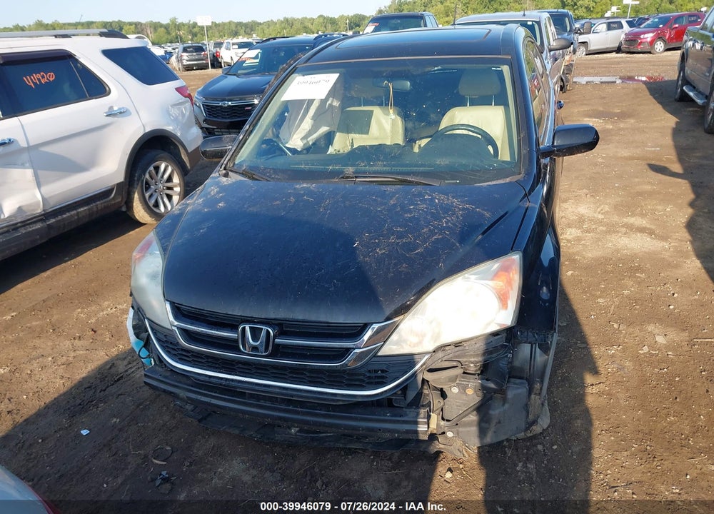 2010 HONDA CR-V EX-L VIN: 5J6RE3H71AL048337