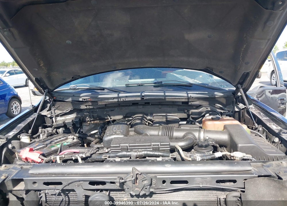 2010 FORD F-150 FX4/HARLEY-DAVIDSON/KING RANCH/LARIAT/PLATINUM/XL/XLT VIN: 1FTFW1EV0AFB19118
