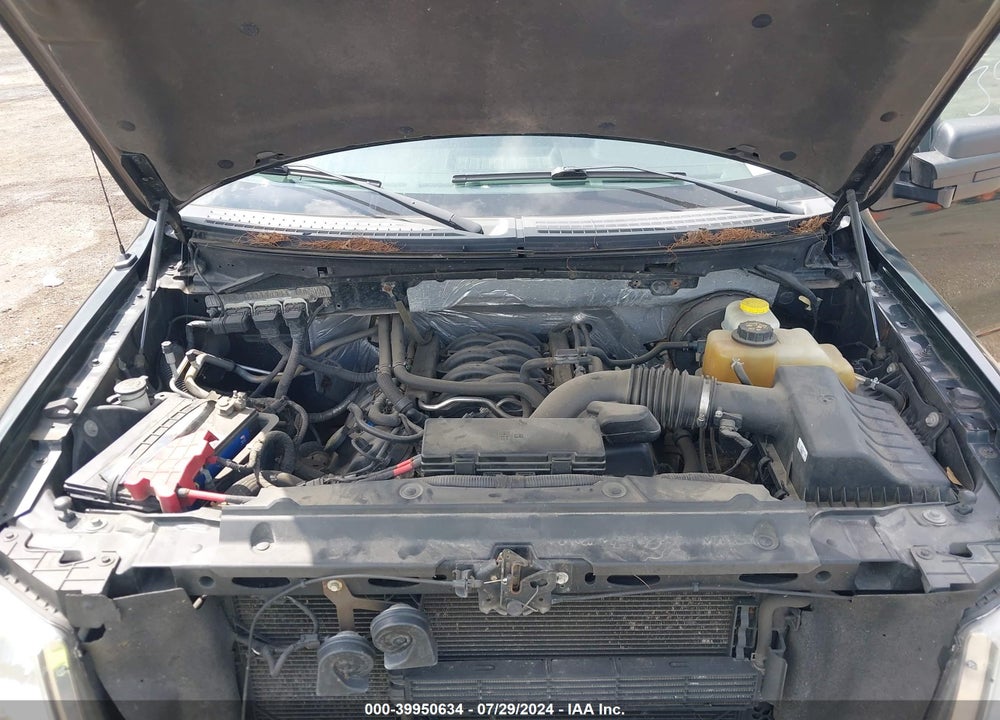2014 FORD F-150 XL VIN: 1FTFX1CF1EFB62820