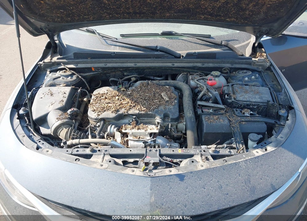 2020 CHEVROLET MALIBU VIN: 1G1ZC5ST0LF061247