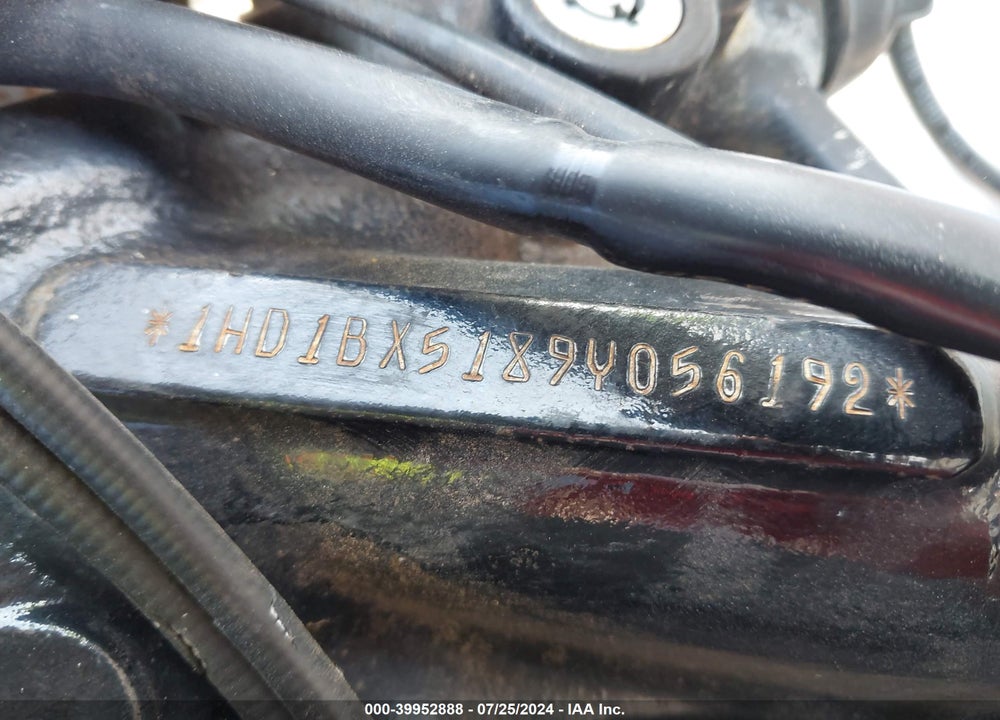 2009 HARLEY-DAVIDSON FLSTF VIN: 1HD1BX5189Y056192