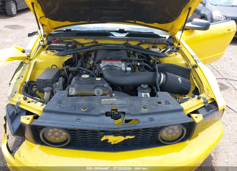 2006 FORD MUSTANG GT VIN: 1ZVFT82H865229229